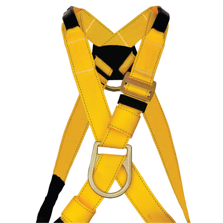 Arnes Estilo "X" HI-SEG
